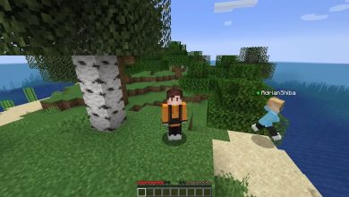 Photo of Играем с модами в Minecraft
